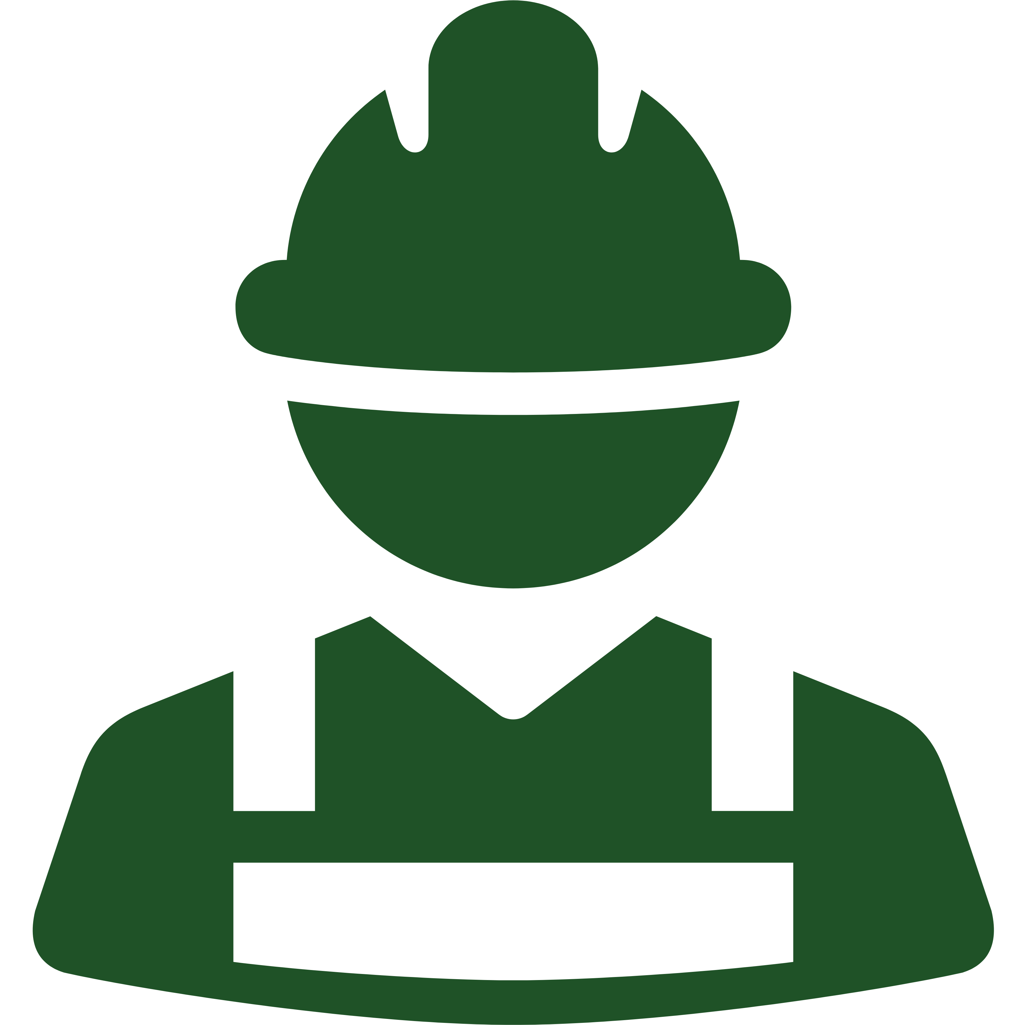 Certified Ninjas Icon